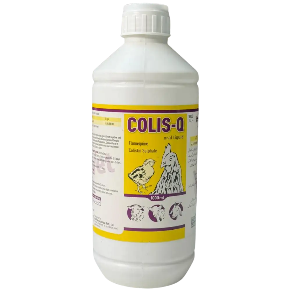Colis-Q