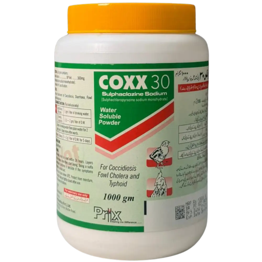 Coxx 30