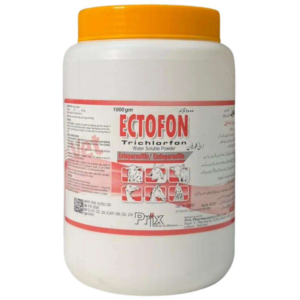 Ectofon