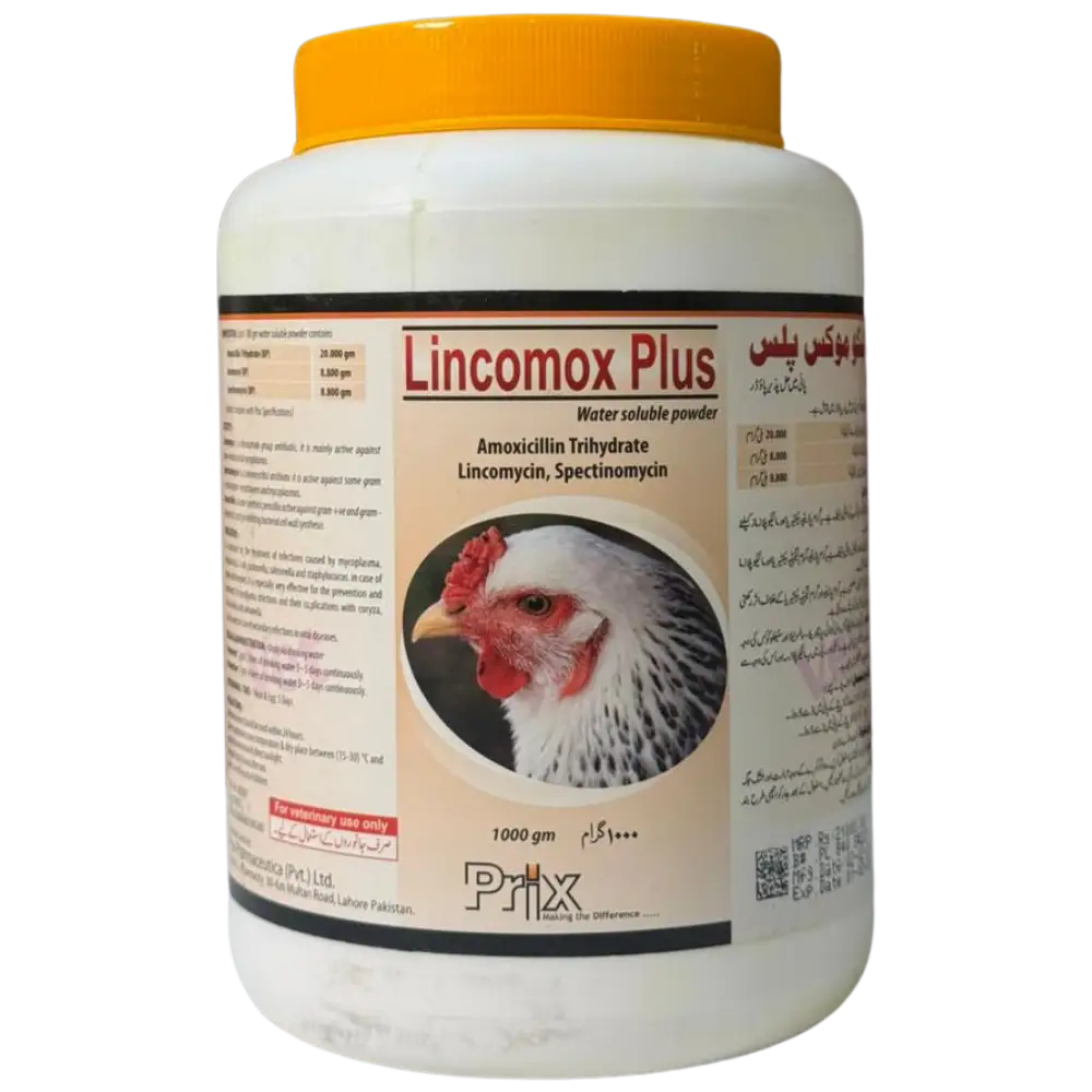 Lincomox Plus
