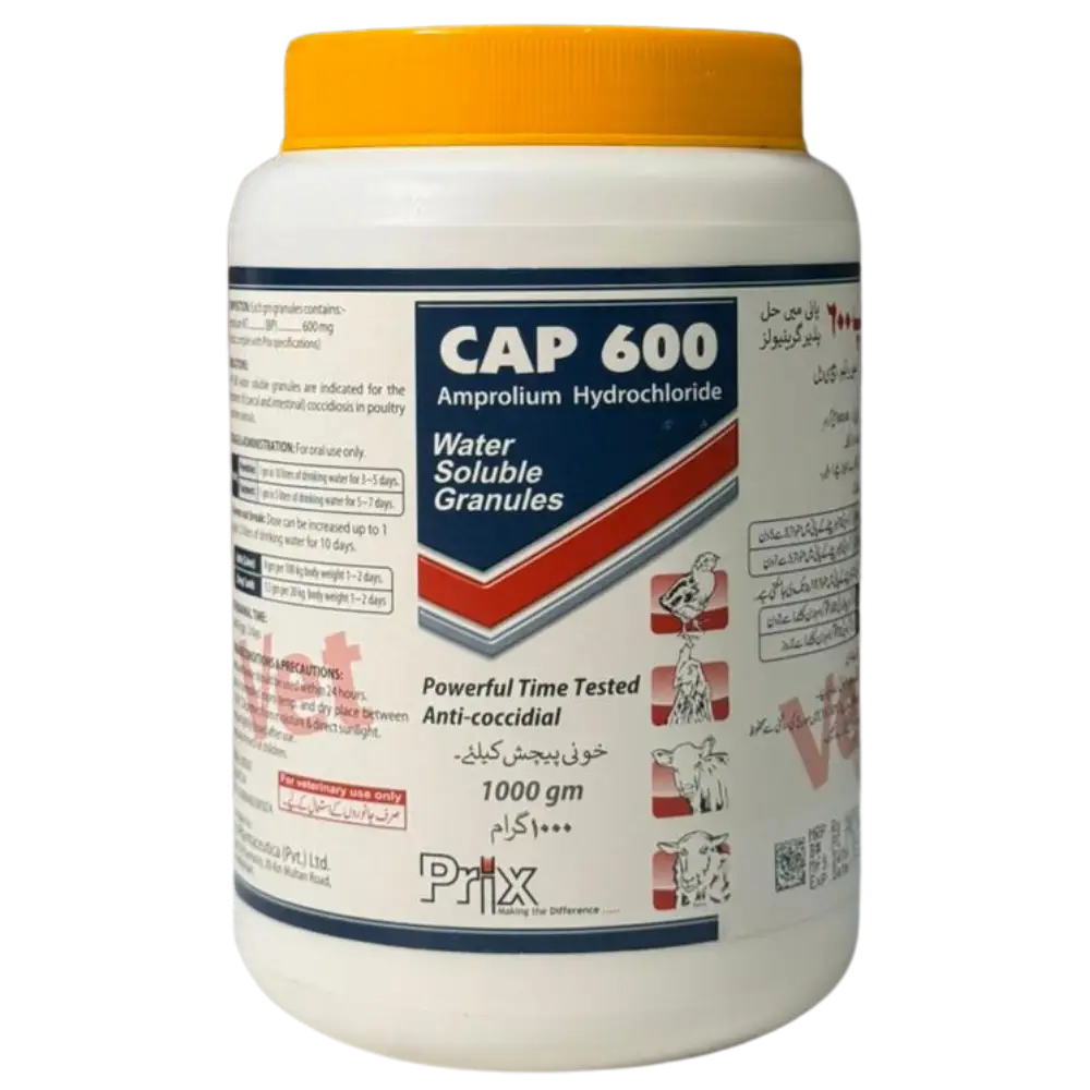 CAP 600