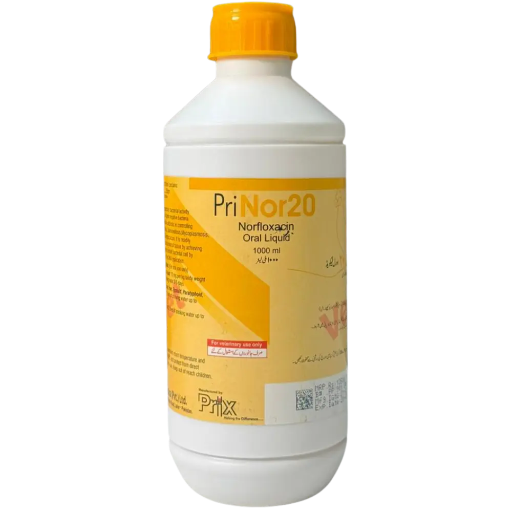 PriNor20