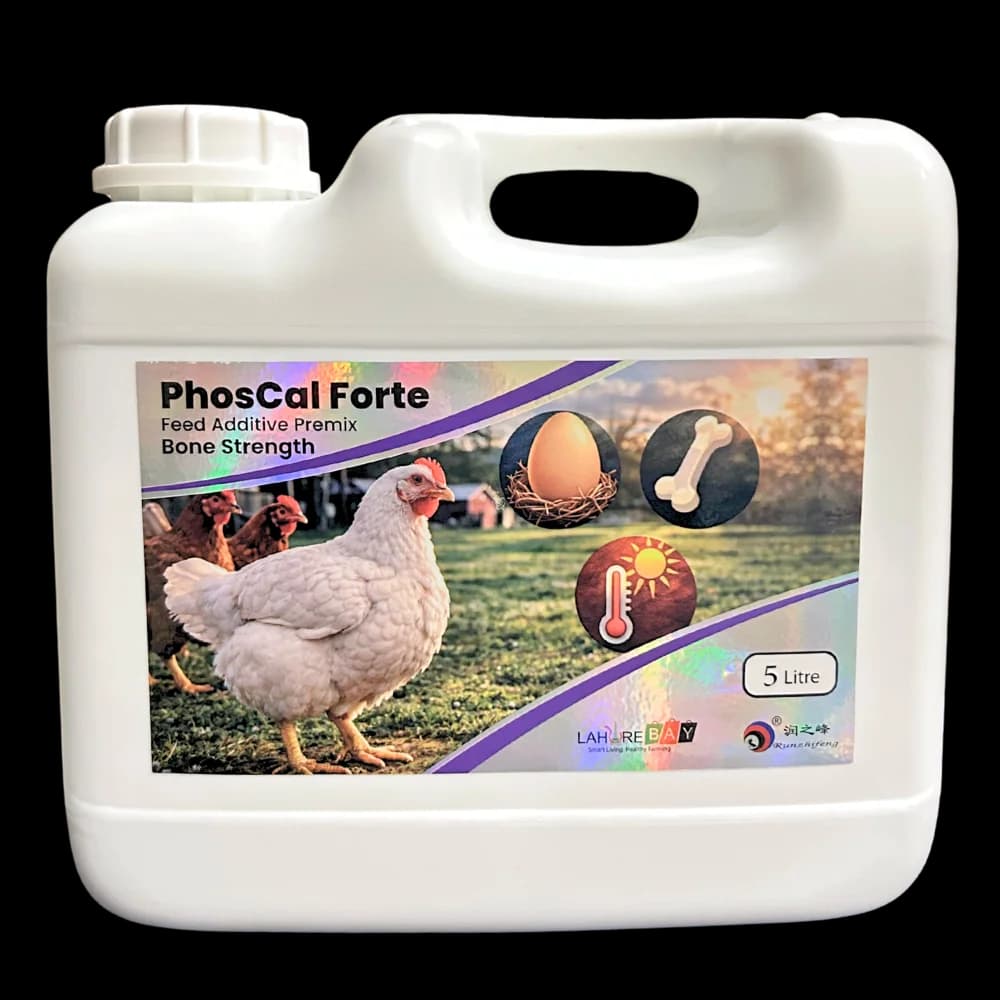 PhosCal Forte